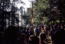 Monte San Michele 1981