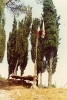 Montecativi VdC - 1977