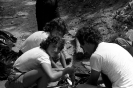 Sillico - 1982